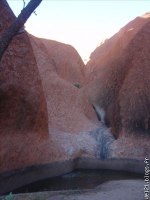 Trou d'eau sur Uluru