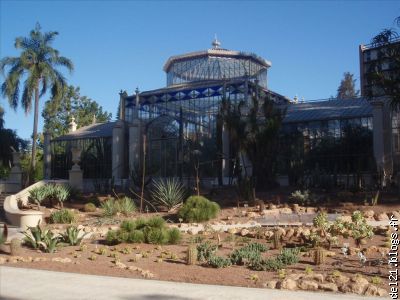 Palmeraie du Botanic Garden